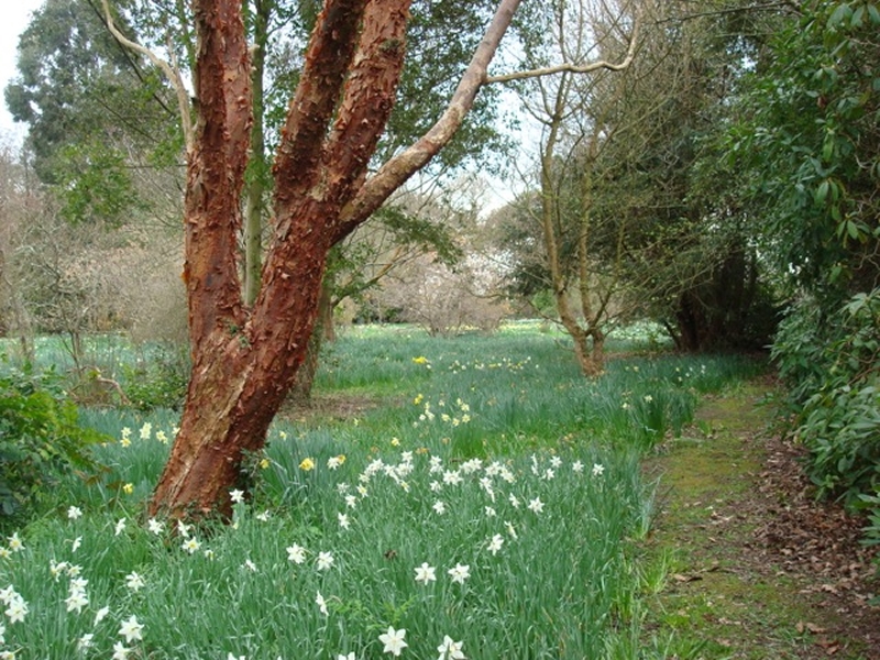 Pylewell Park